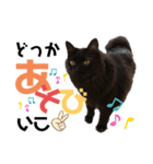 とっぷの日常（個別スタンプ：3）