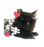とっぷの日常（個別スタンプ：5）
