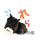 とっぷの日常（個別スタンプ：8）
