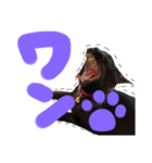 黒猫がいる暮らし2（個別スタンプ：2）