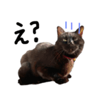 黒猫がいる暮らし2（個別スタンプ：4）