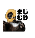 黒猫がいる暮らし2（個別スタンプ：7）