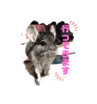 もこの挨拶スタンプ（個別スタンプ：1）