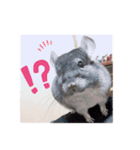 もこの挨拶スタンプ（個別スタンプ：2）