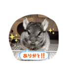 もこの挨拶スタンプ（個別スタンプ：3）