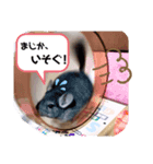 もこの挨拶スタンプ（個別スタンプ：6）