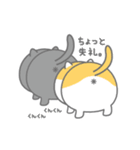 愛猫のバロンとアレン（個別スタンプ：12）
