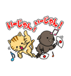 猫のイベリコ支部（個別スタンプ：11）