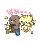 猫のイベリコ支部（個別スタンプ：15）