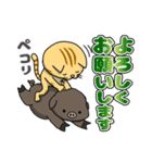 猫のイベリコ支部（個別スタンプ：19）