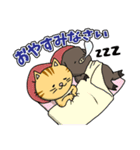 猫のイベリコ支部（個別スタンプ：23）