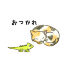 カメレオン、時々ねこ（個別スタンプ：6）