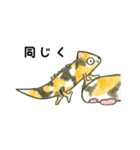 カメレオン、時々ねこ（個別スタンプ：8）