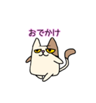 無表情ネコ，ペコ（個別スタンプ：1）