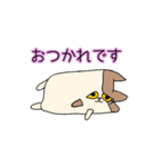 無表情ネコ，ペコ（個別スタンプ：5）