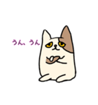無表情ネコ，ペコ（個別スタンプ：12）