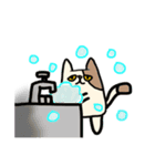 無表情ネコ，ペコ（個別スタンプ：14）