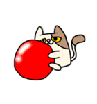 無表情ネコ，ペコ（個別スタンプ：19）