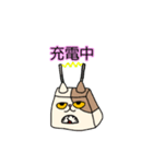 無表情ネコ，ペコ（個別スタンプ：23）
