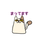 無表情ネコ，ペコ（個別スタンプ：24）