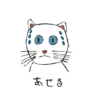 ブルーアイキャット（個別スタンプ：5）