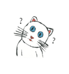 ブルーアイキャット（個別スタンプ：6）