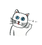 ブルーアイキャット（個別スタンプ：7）