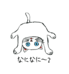 ブルーアイキャット（個別スタンプ：36）