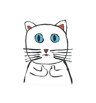 ブルーアイキャット（個別スタンプ：40）