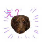 使い道のないスタンプはるちゃん（個別スタンプ：5）