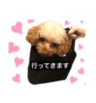 あに子ちゃん（個別スタンプ：4）