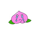 ちゃんもも①（個別スタンプ：5）