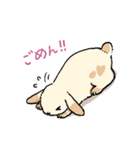 モフモフのうさぎちゃん（個別スタンプ：10）