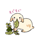 モフモフのうさぎちゃん（個別スタンプ：16）