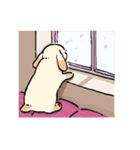 モフモフのうさぎちゃん（個別スタンプ：18）