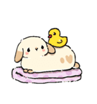 モフモフのうさぎちゃん（個別スタンプ：22）