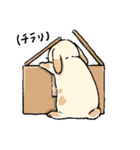 モフモフのうさぎちゃん（個別スタンプ：24）