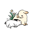 モフモフのうさぎちゃん（個別スタンプ：32）