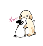 モフモフのうさぎちゃん（個別スタンプ：33）
