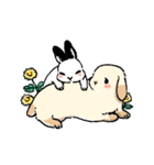 モフモフのうさぎちゃん（個別スタンプ：38）