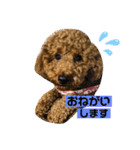 モコとラブ（個別スタンプ：5）