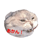 みかんゆずコテツのスタンプ（個別スタンプ：7）