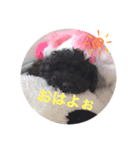 chiroru choko（個別スタンプ：2）