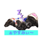 chiroru choko（個別スタンプ：3）