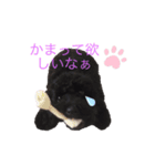 chiroru choko（個別スタンプ：8）