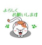 太っちょ猫【基本編】（個別スタンプ：1）