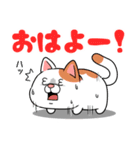 太っちょ猫【基本編】（個別スタンプ：5）