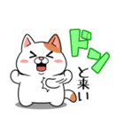 太っちょ猫【基本編】（個別スタンプ：13）