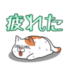太っちょ猫【基本編】（個別スタンプ：14）
