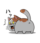 太っちょ猫【基本編】（個別スタンプ：31）